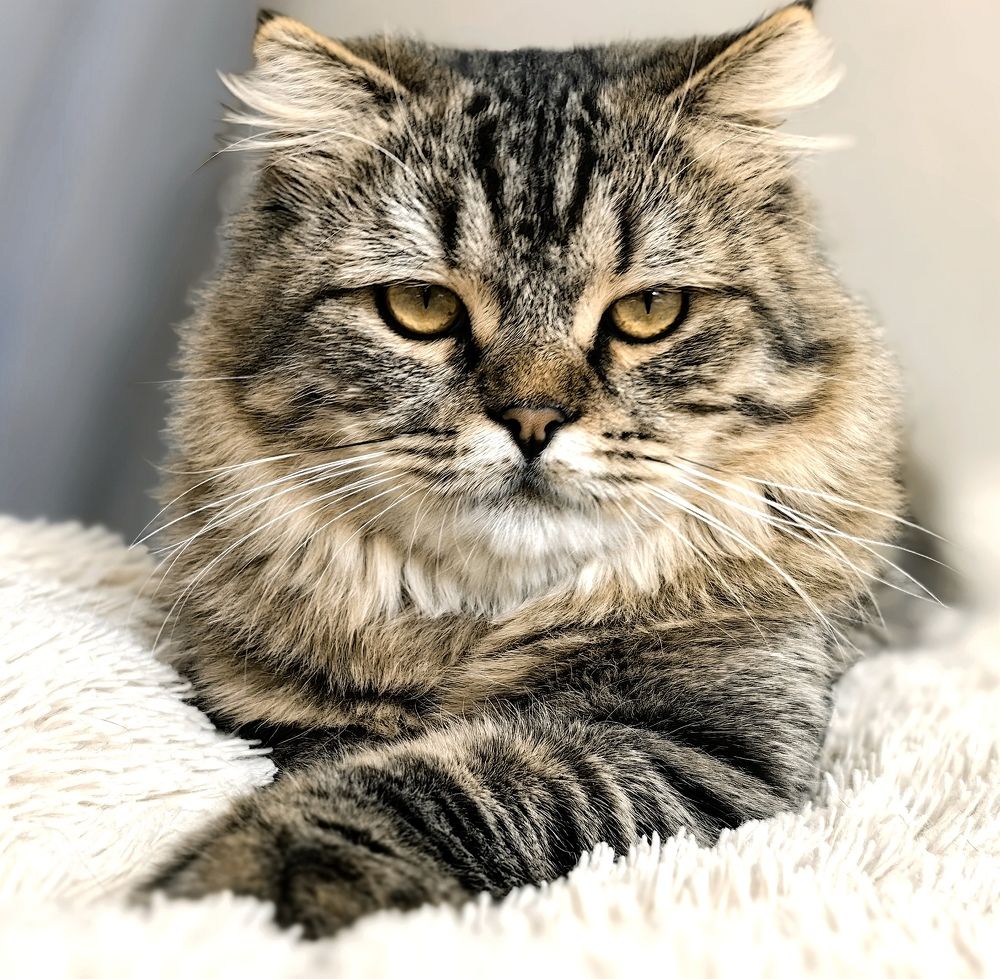 Photograph by Сергей Горелов