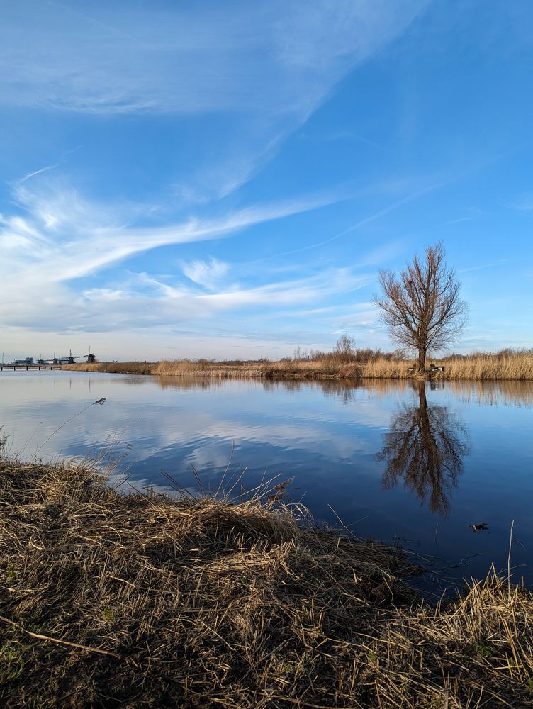 Фотография автора Ксения Шляйхер