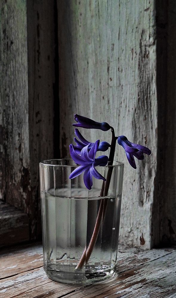 Фотография маленькая машина времени