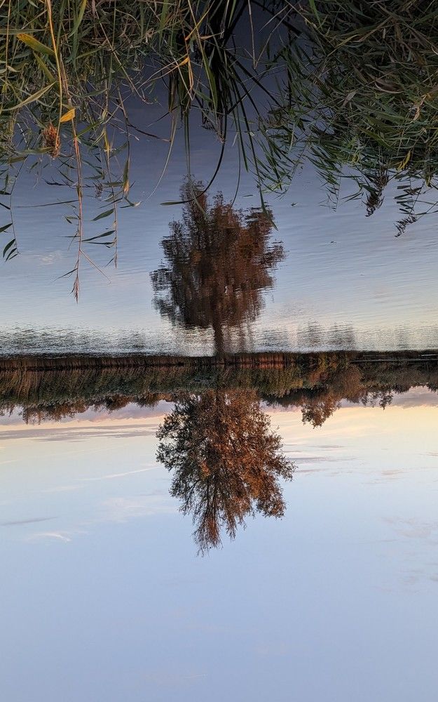 Фотография автора Ксения Шляйхер