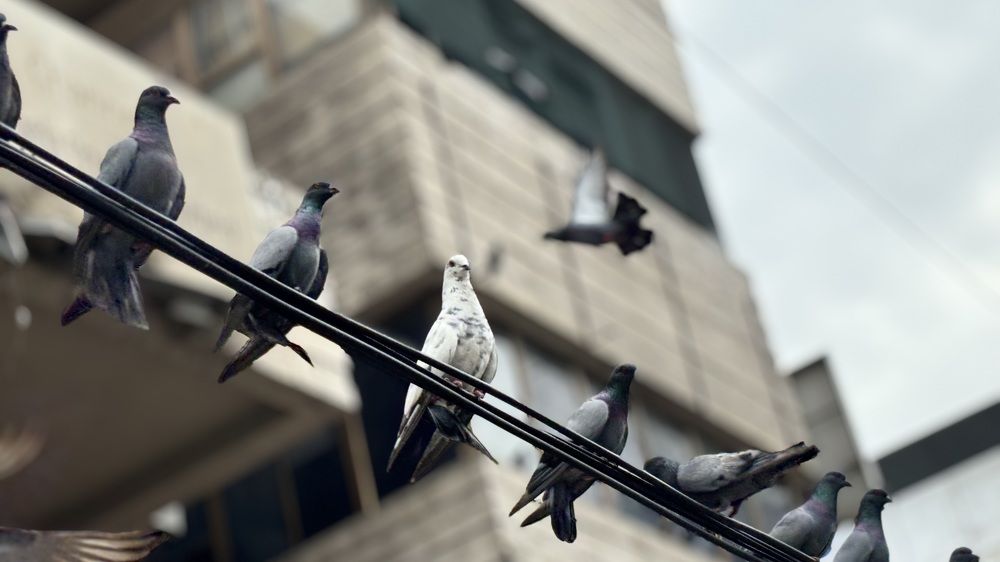 Photograph by Venu Peyyala