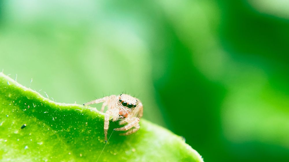 Photograph by Venu Peyyala