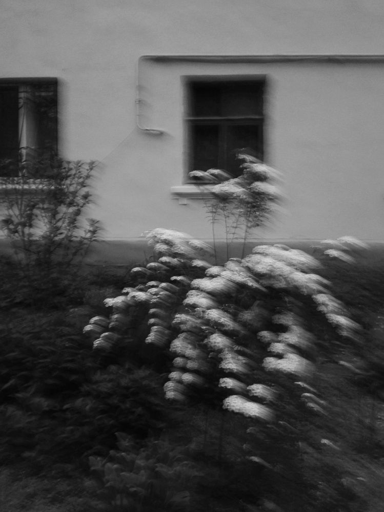 Photograph by Снежана Жвирбля