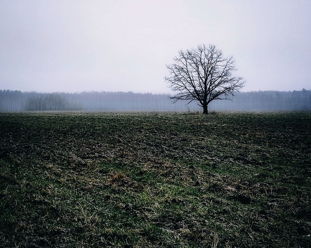 Photograph by Сергей Малашкин