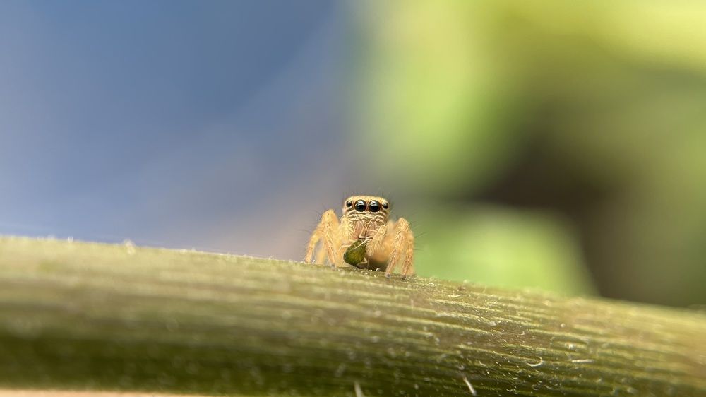 Photograph by Venu Peyyala