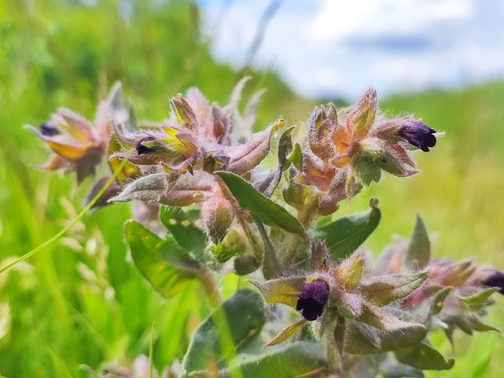 Photograph by Iskander