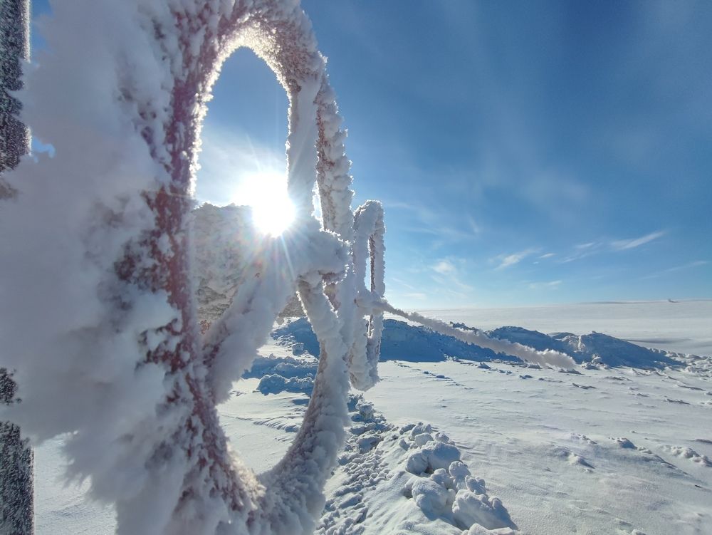 Мобильная фотография