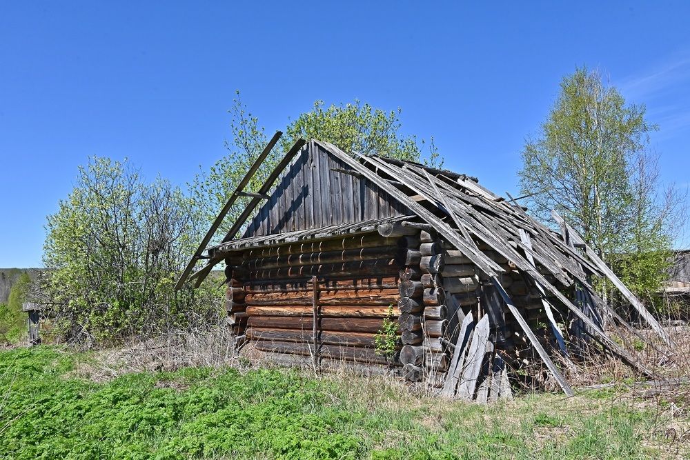 Photograph by Сергей Зубов