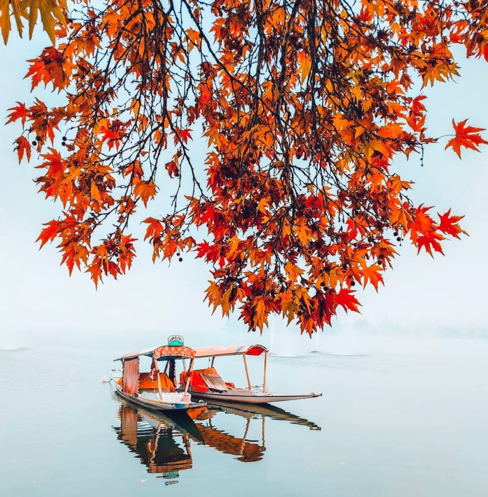 Photograph by Er Tanveer hussain Want