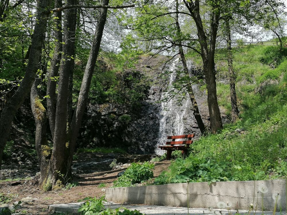 Фотография автора Danica Utjesinovic