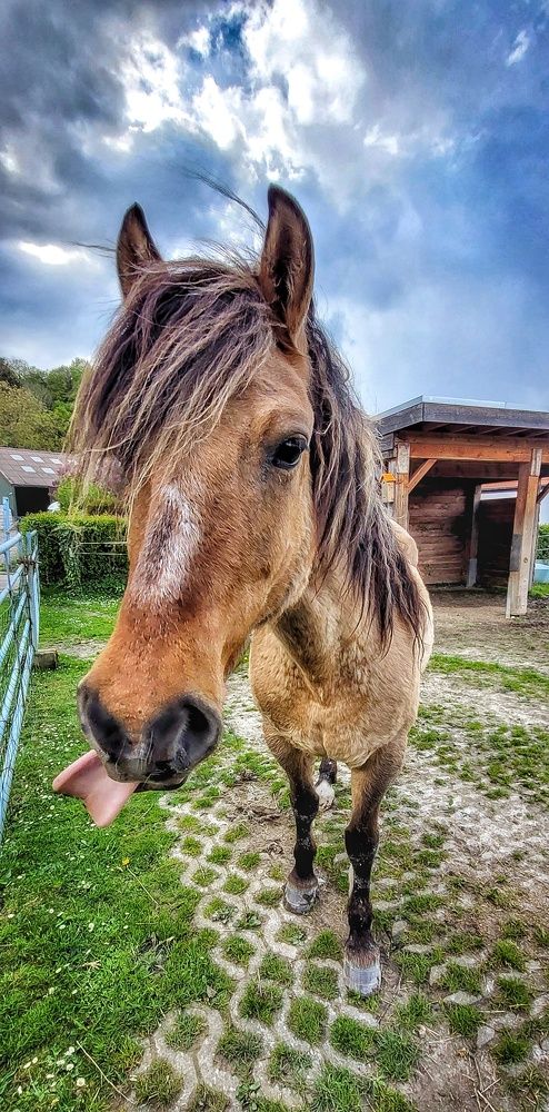 Фотография автора Кристина Данилюк