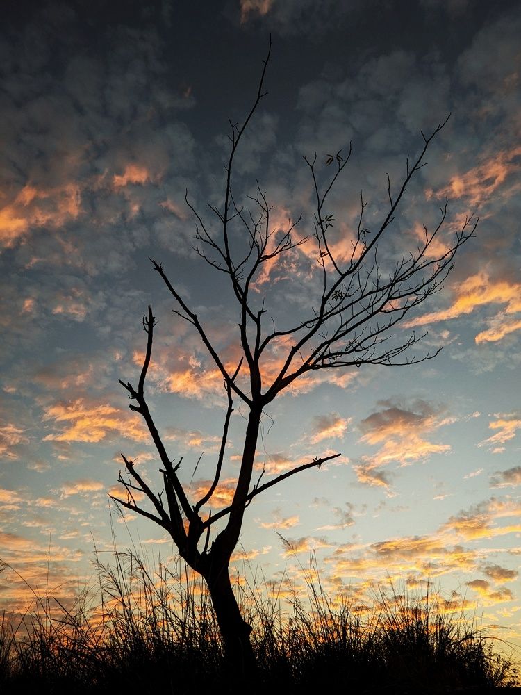 Photograph by Ananta Roy