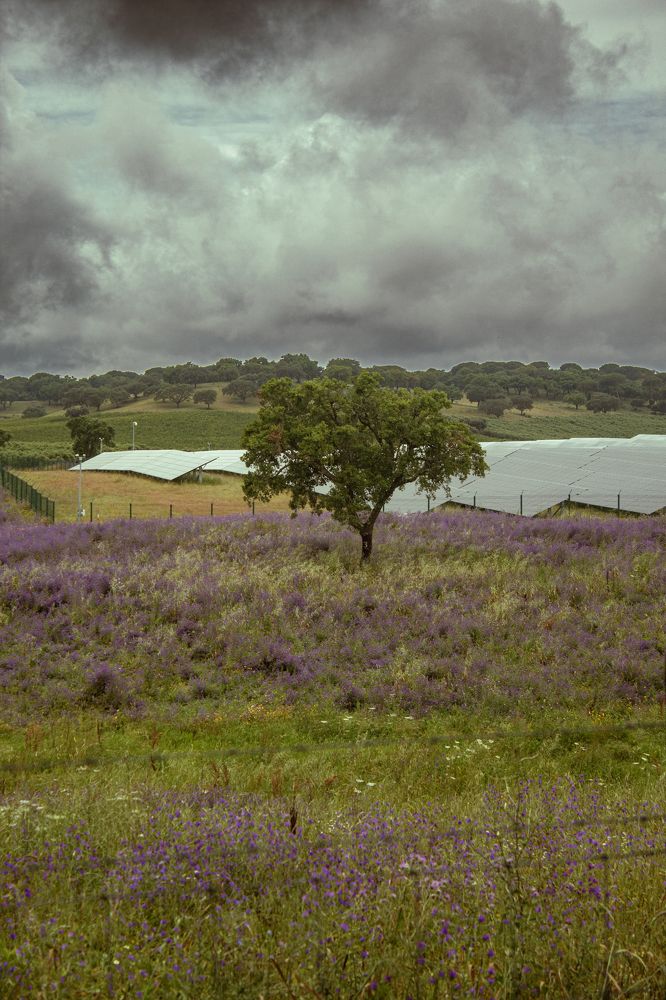 Photograph by Fábio Martins