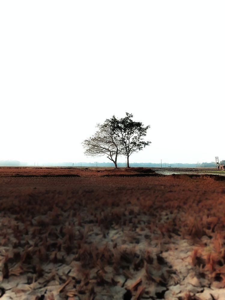 Photograph by Sudeshna Chanda