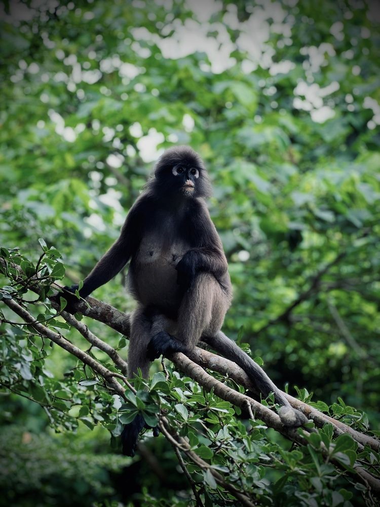 Photograph by Sivaraj Nithiananthan