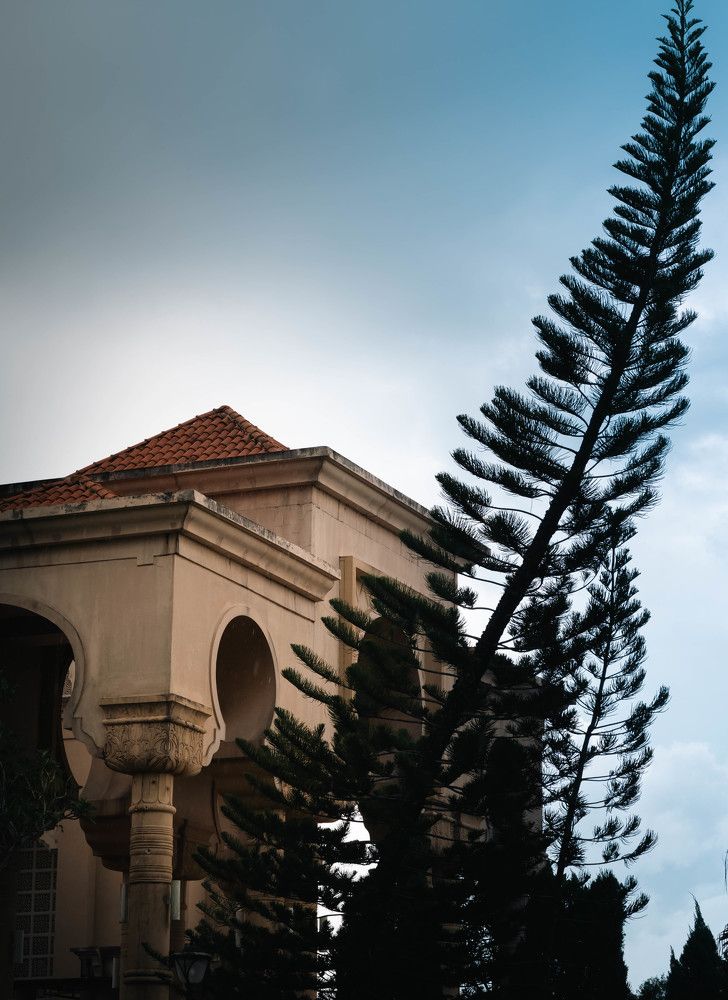 Фотография автора Marcus Mah Qing Fung