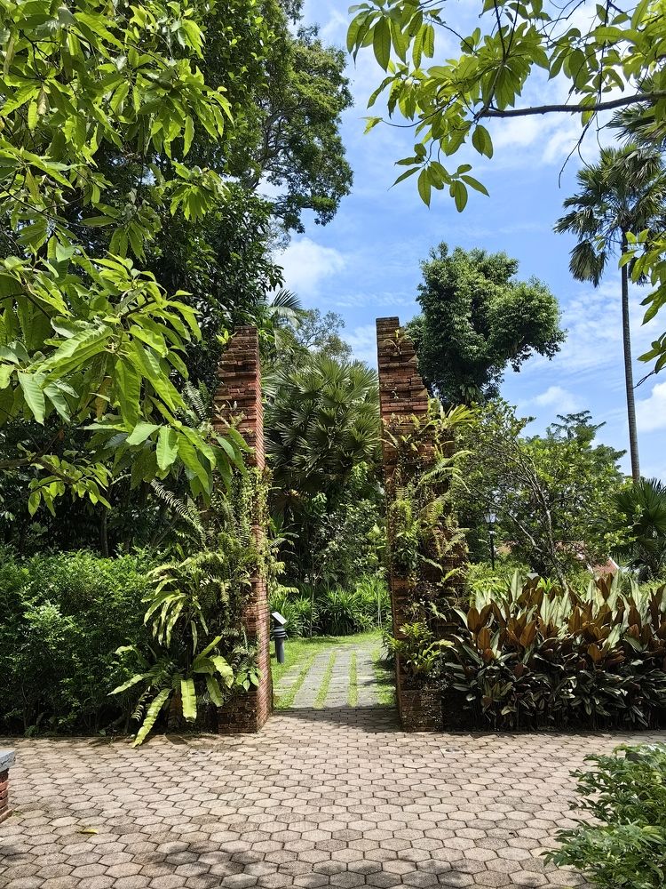 Photograph by Sumon Barman