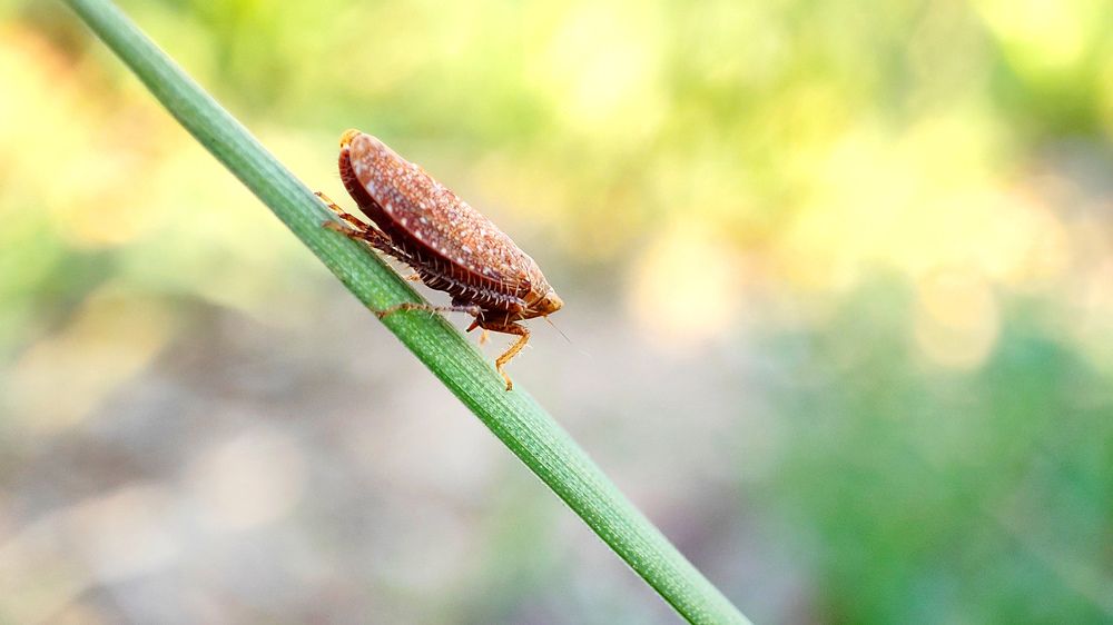 Photograph by mahdi nouri deldar