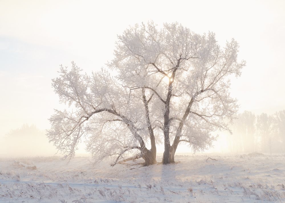 Photograph by Леонтьев Константин