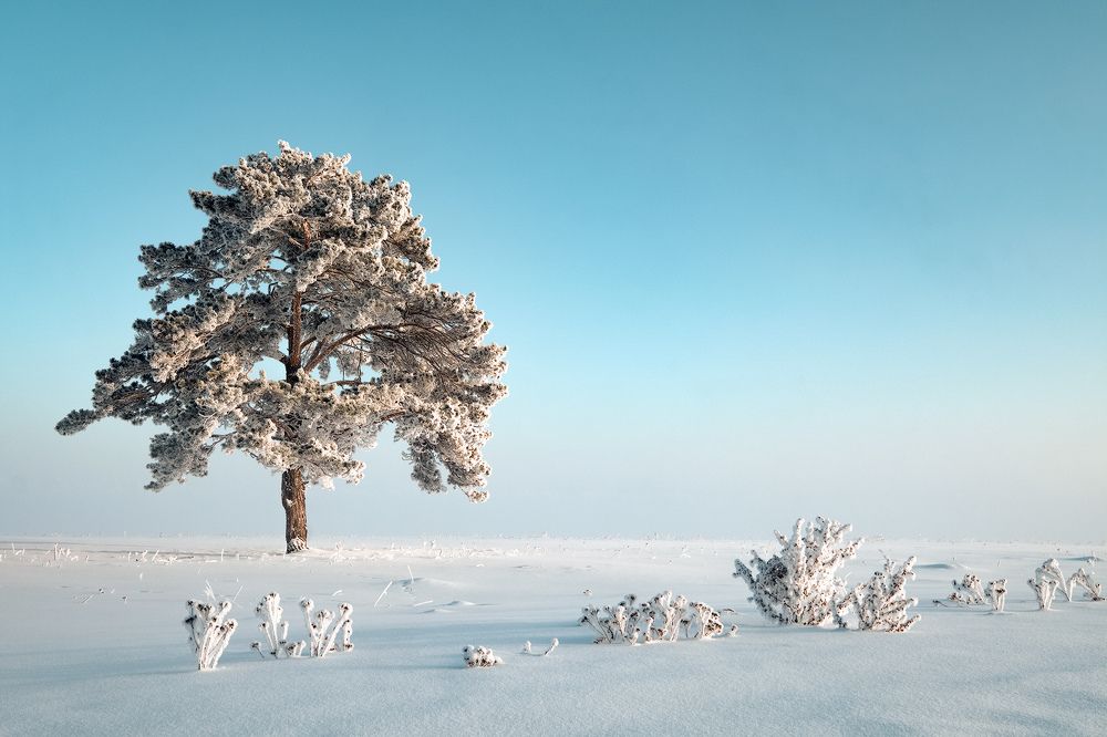 Photograph by Леонтьев Константин