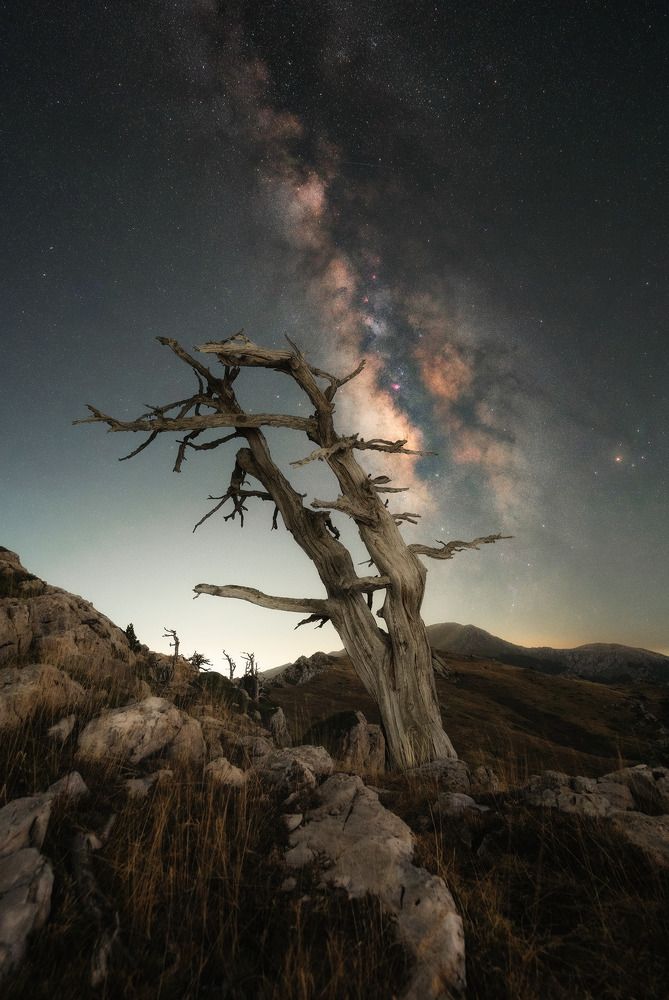 Photograph by Francesco Dimonte