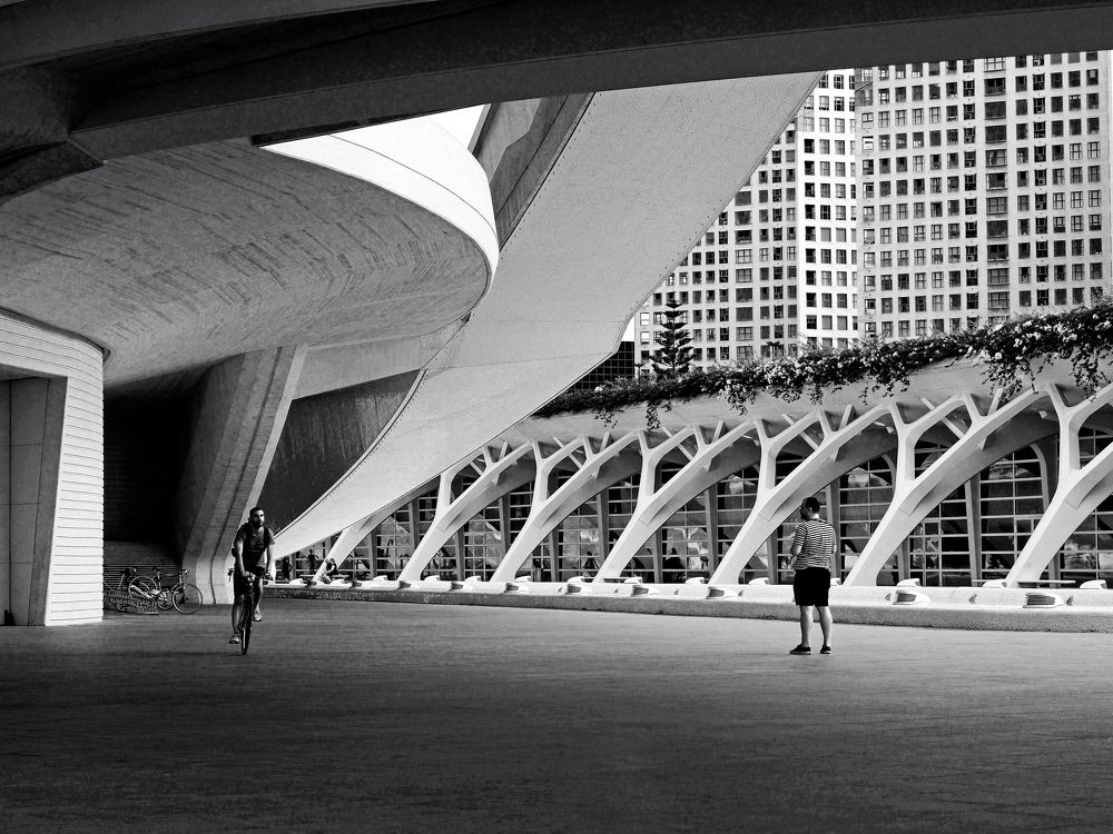 Ciutat de les Arts i les Ciències.