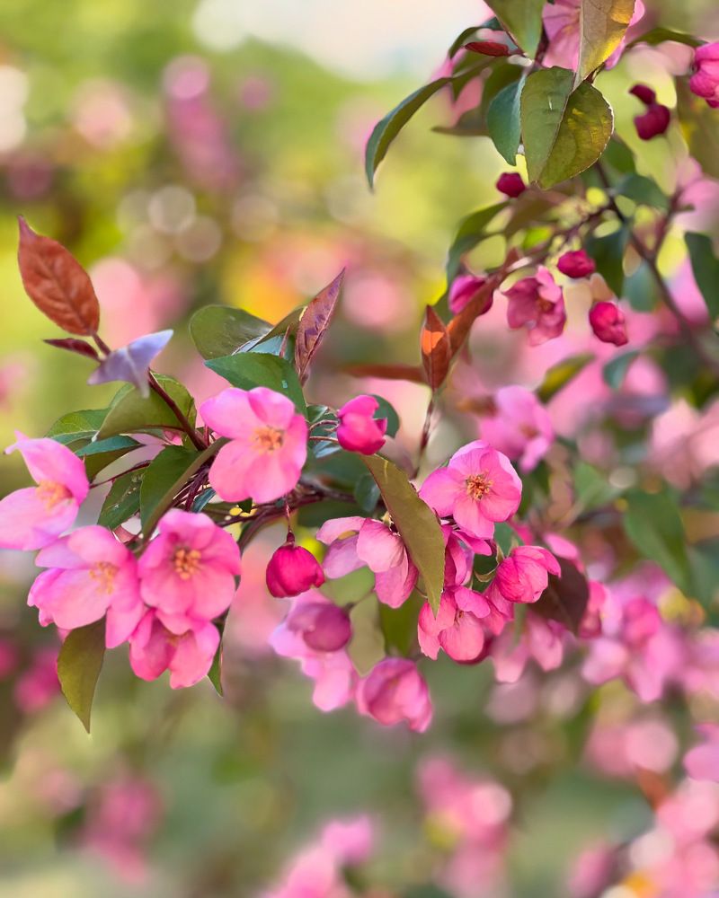 Photograph by Татьяна Волохова