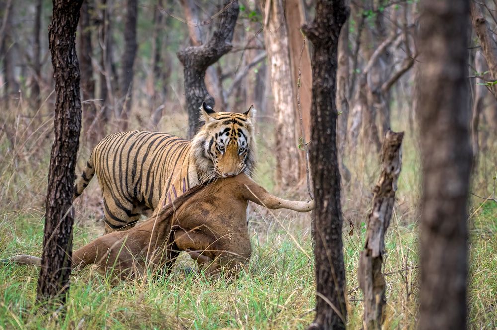 Photograph by Suvendu Bhattacharjee