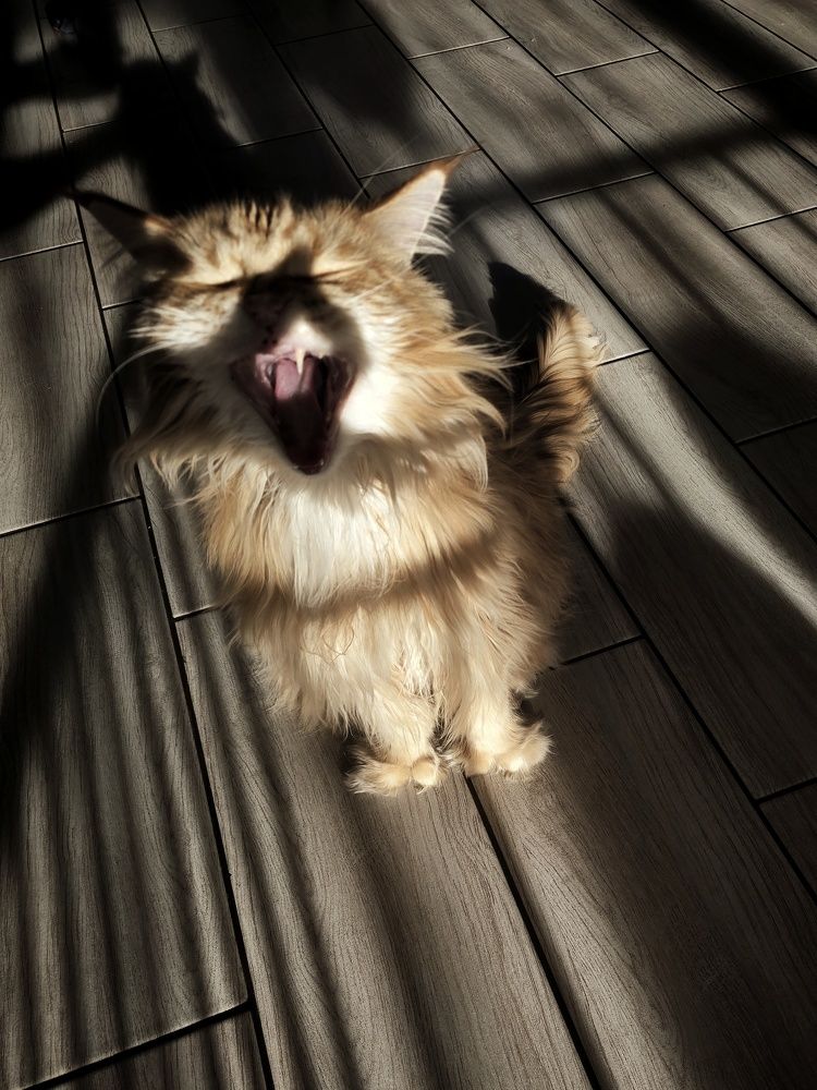 Photograph by Екатерина