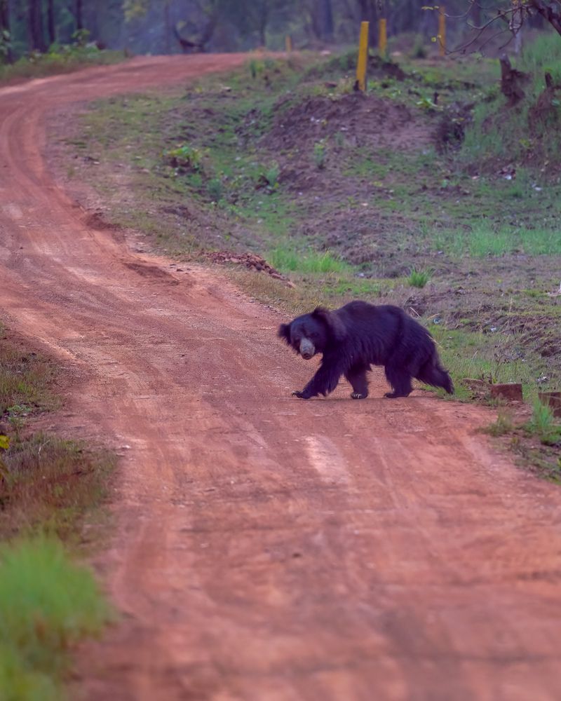 Photograph by Suvendu Bhattacharjee