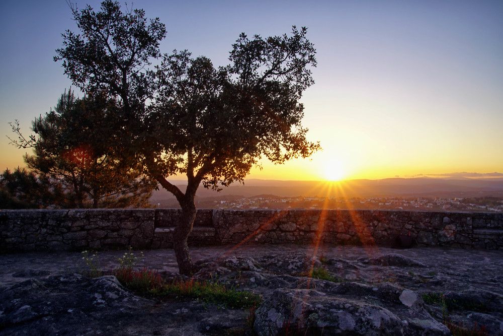 Photograph by Mário C.