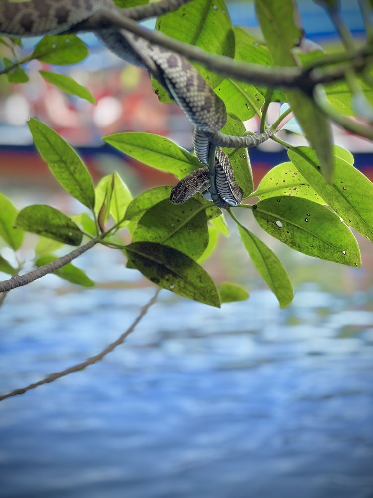 Photograph by Sivaraj Nithiananthan