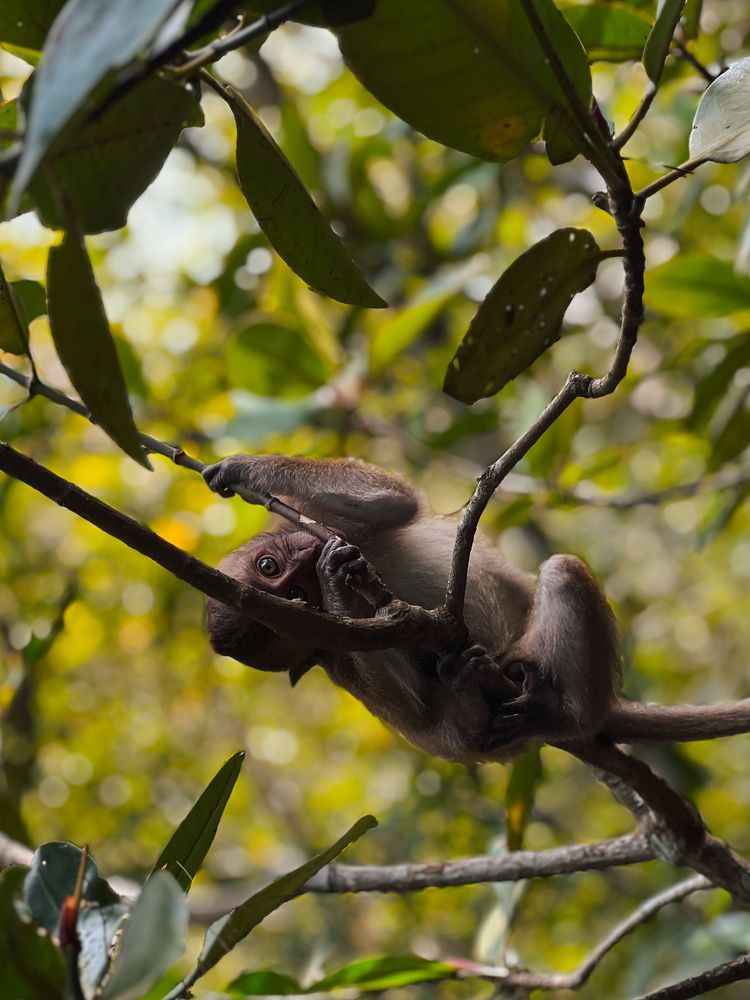 Photograph by Sivaraj Nithiananthan