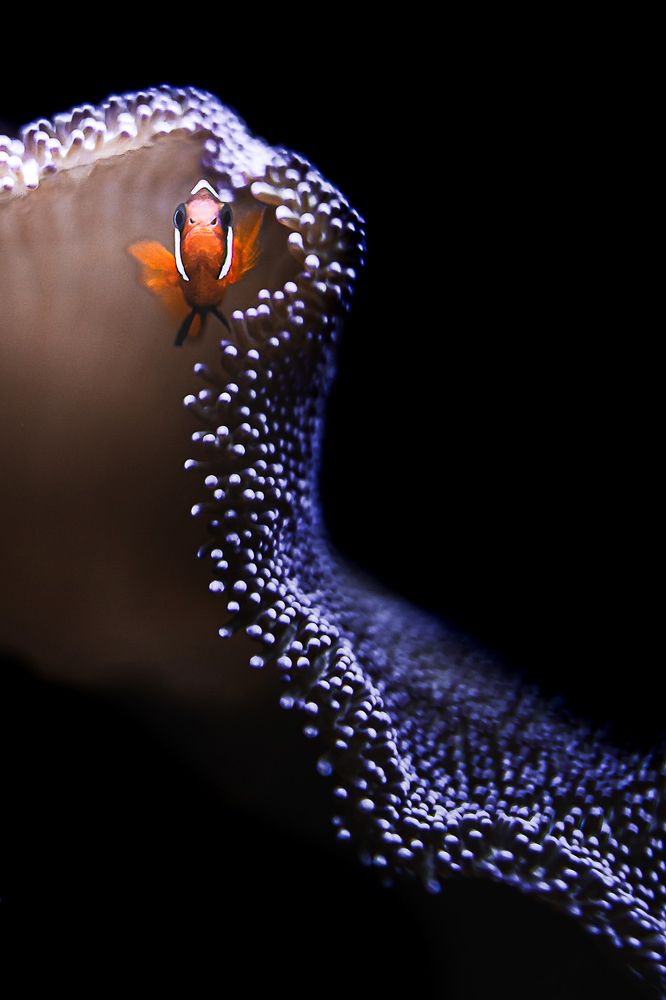 Photograph by Eva Daučíková