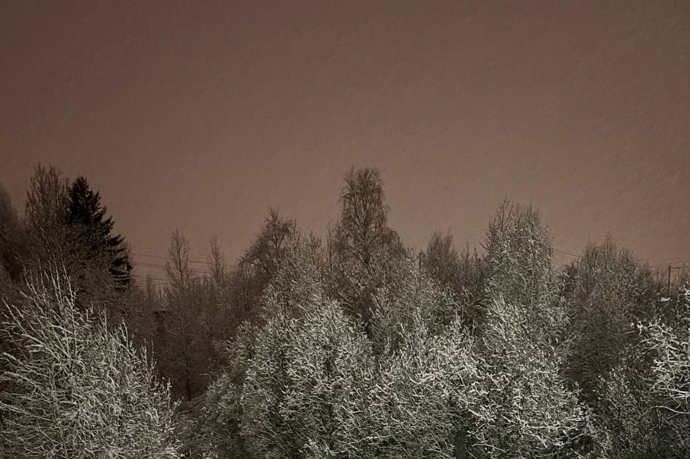 Photograph by Евгения Куликова