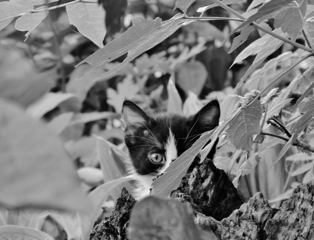 Позновая Этот Мир