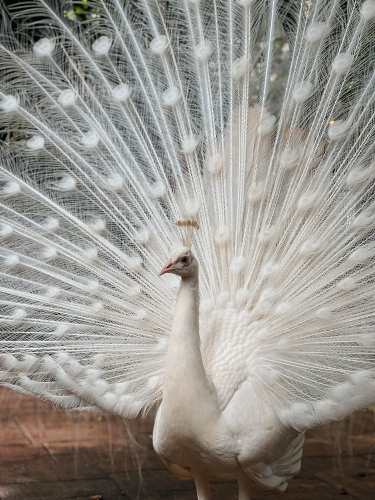 Photograph by Sivaraj Nithiananthan