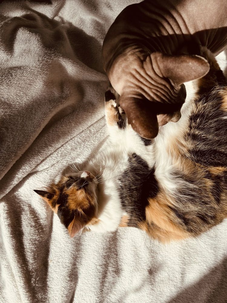 Photograph by Ekaterina