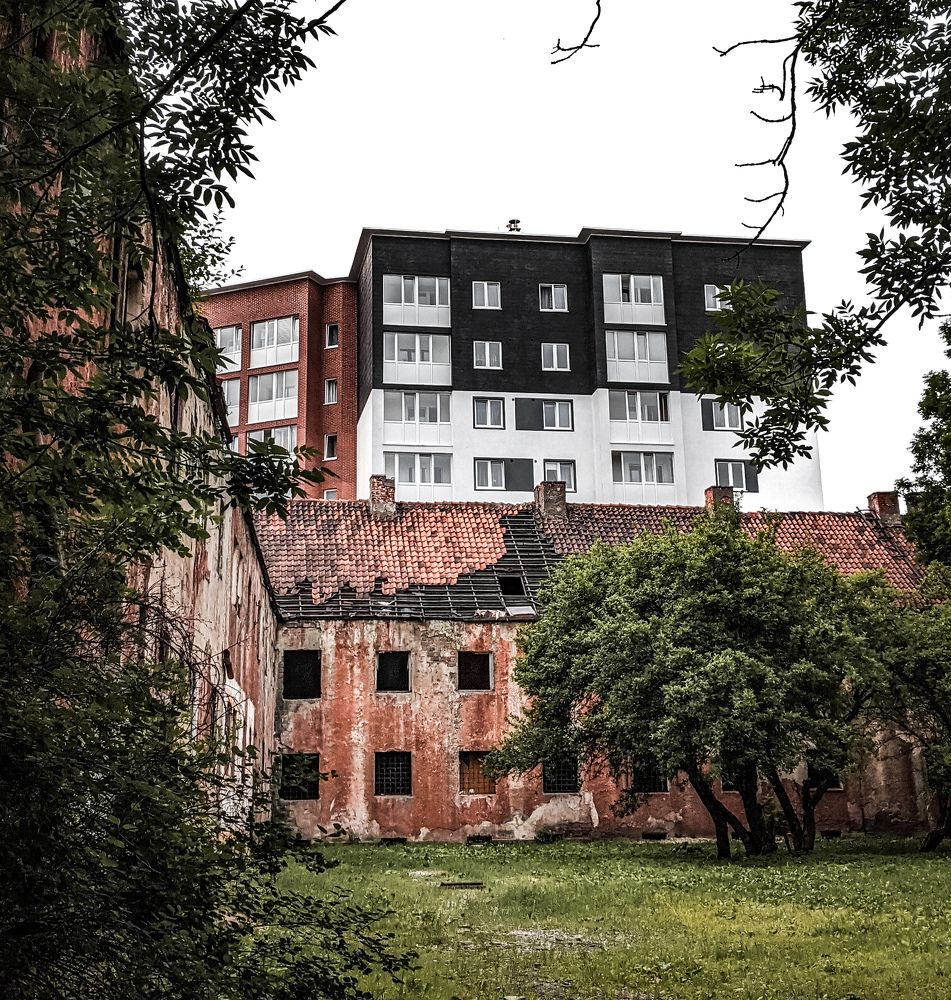 Фотография автора Ксения Шляйхер