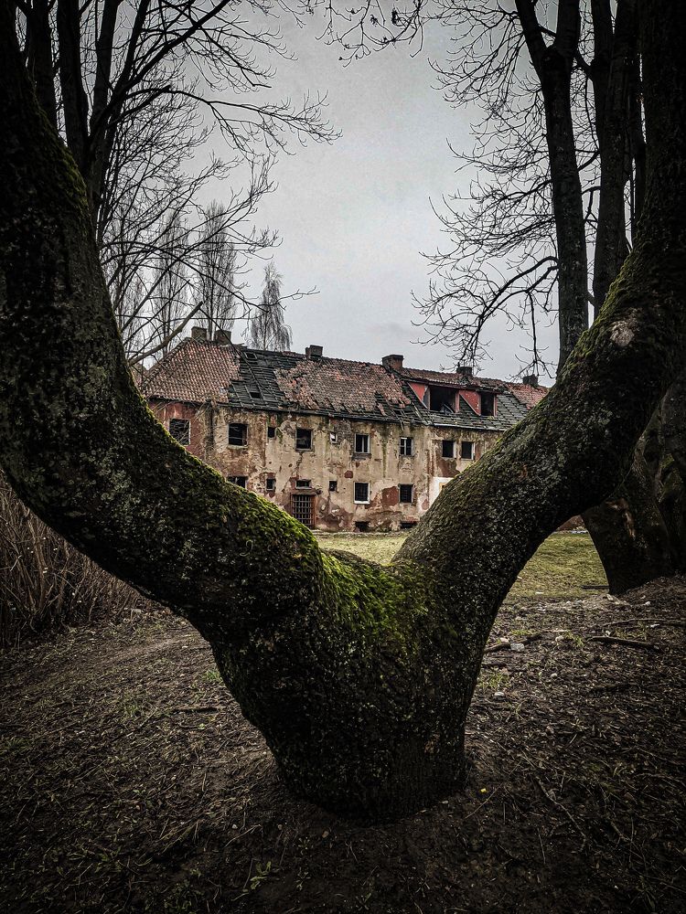 Фотография автора Ксения Шляйхер