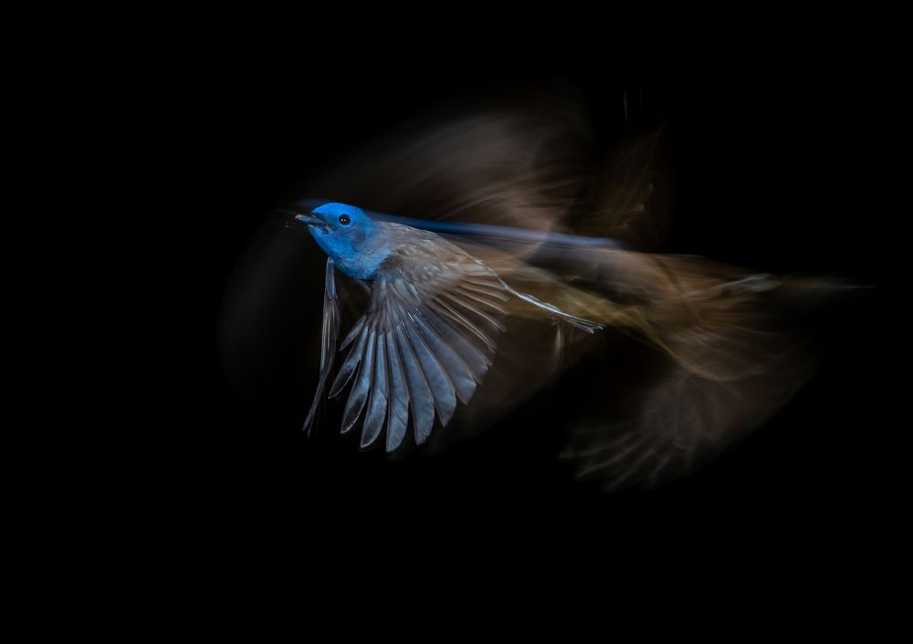 Photograph by Padmanava santra