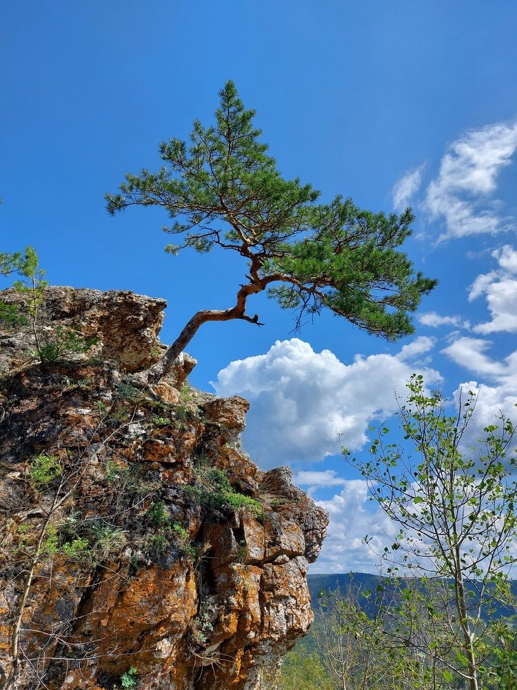 Photograph by Наталья Дубовкина