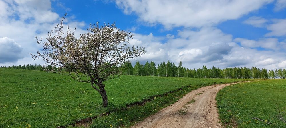 Photograph by Наталья Дубовкина