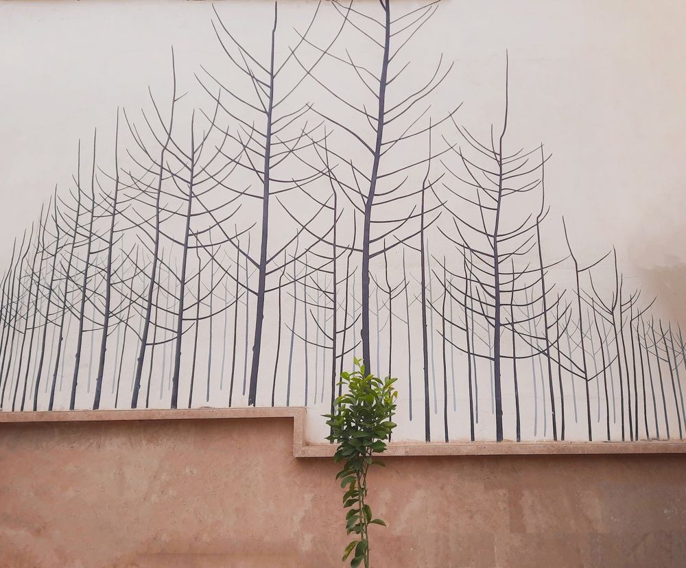 Photograph by Mohammadvahid Nasseri