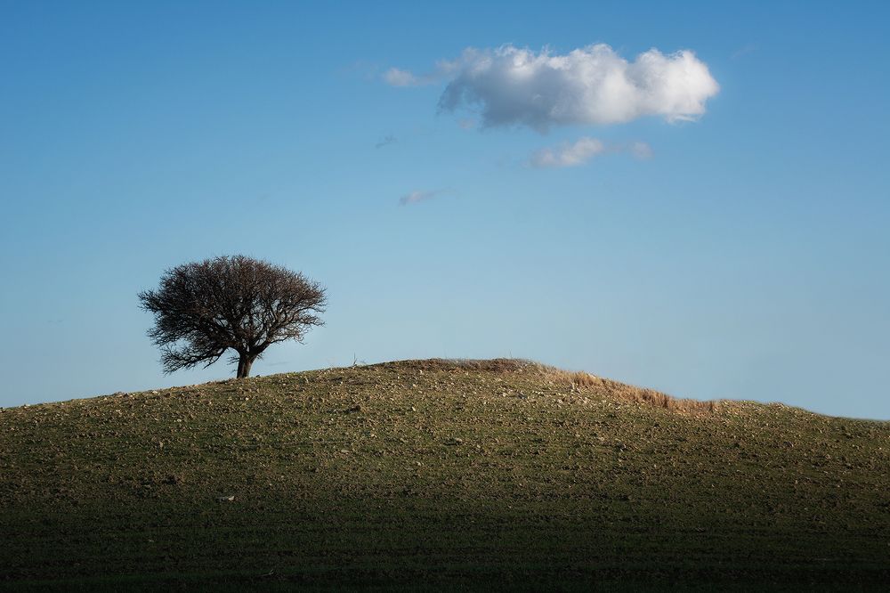 Photograph by Paolo Partipilo