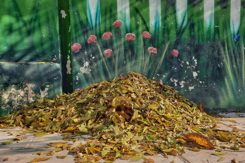 Photograph by Mohammadvahid Nasseri