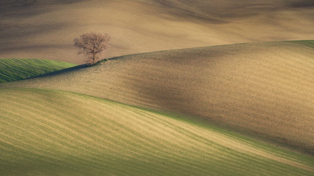 Photograph by Paolo Partipilo