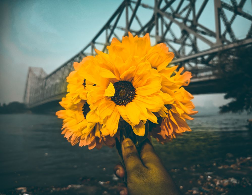 Photograph by Argha Sikdar