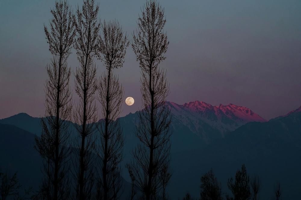 Photograph by Syed Qaarif Andrabi