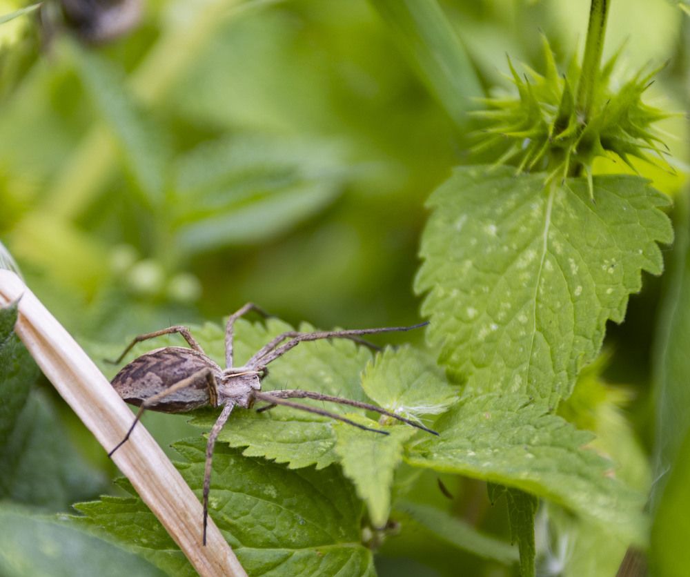 Photograph by Владислав Капанов